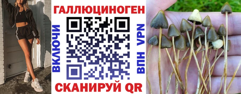 Псилоцибиновые грибы мухоморы  Новая Усмань 